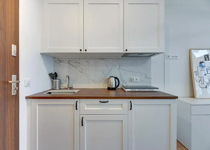 公寓 Wrzeszcz - Brzozowa 格但斯克